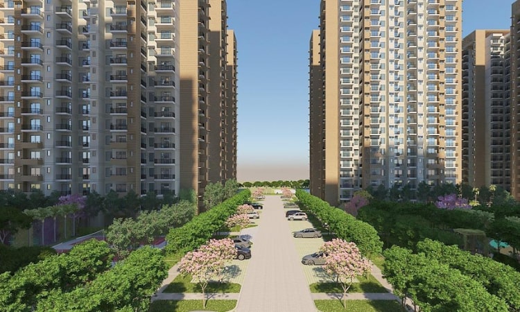 Wal Verde 92 - Image 2